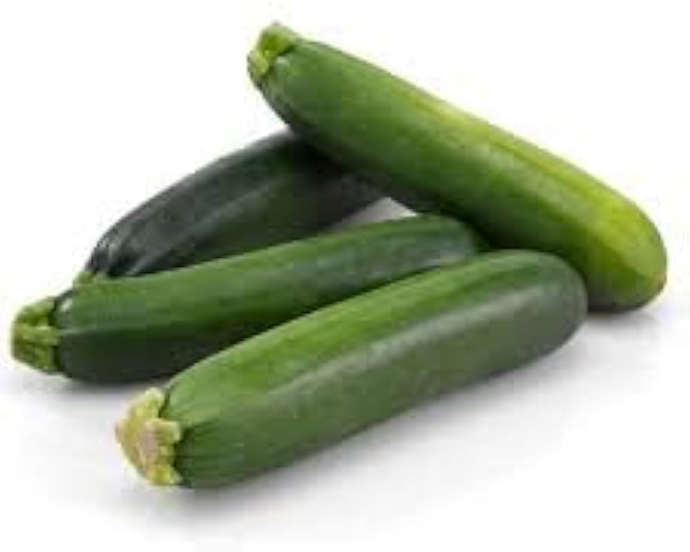 Barq (F1 Squash) for planting in garden